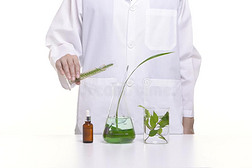 科学家学习和研究液体医学从自然的药草的