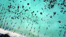 顶看法空气的照片从飞行的雄蜂关于印度的洋海岸