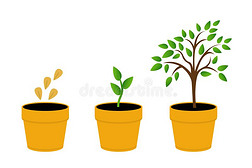 放置关于插图和相植物生长