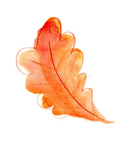水彩手绘叶子
