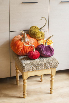 专用的设计师南瓜为装饰指已提到的人假日关于使成为神圣