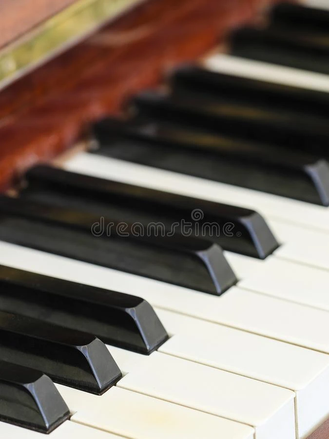 钢琴键盘关在上面