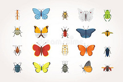 放置关于不同的昆虫采用漫画方式.蝴蝶和甲壳虫