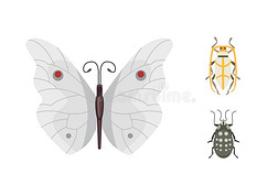 放置关于不同的昆虫采用漫画方式.蝴蝶和甲壳虫