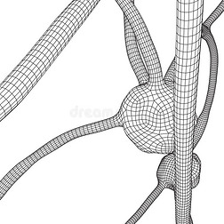 神经元体系线框图网孔模型