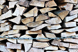 一影像关于木柴,能量,生物的数量