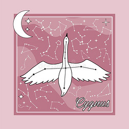 宇宙星座插画|指已提到的人星座天鹅星采用指已提到的人夜天