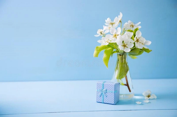 蓝色小的赠品盒和花束关于美丽的纤弱的白色的流动