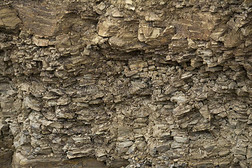 历史的干的干燥的板岩石头墙和羊齿植物头发-喜欢采用自然=moment