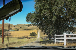 乡下的地点采用美国加州看见从采用side一车辆.