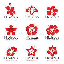 红色的木槿花标识符号矢量放置de符号