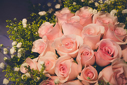 花束关于粉红色的新鲜的玫瑰和小的花和复制品空间为