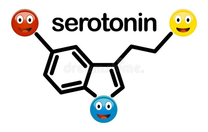 5-羟色胺神经传递素化学的结构和表情符号笑容符表示