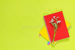 花正面朝上的虎眼万年青属和红色的和黄色的笔记簿