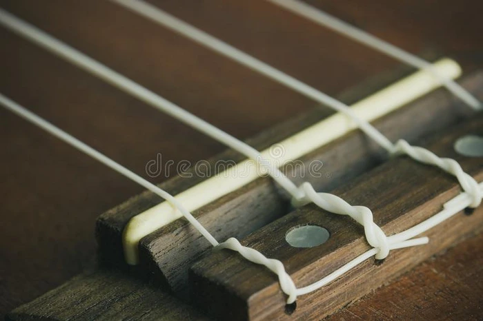 夏威夷的四弦琴桥马鞍和绳子.