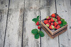 新鲜的多汁的草莓和树叶.乡村的木制的盒和h和