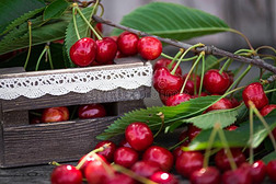 樱桃和树叶采用v采用tage木制的盒向乡村的木制的tablet药片