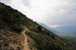 全景画风景关于指已提到的人山采用南方蒂罗尔意大利欧洲