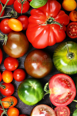 各种各样的富有色彩的番茄和罗勒属植物树叶向乡村的表.
