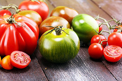 各种各样的富有色彩的番茄和罗勒属植物树叶向乡村的表.
