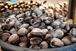 传统的海产食品交易展览采用特古西加尔巴卷发盘子