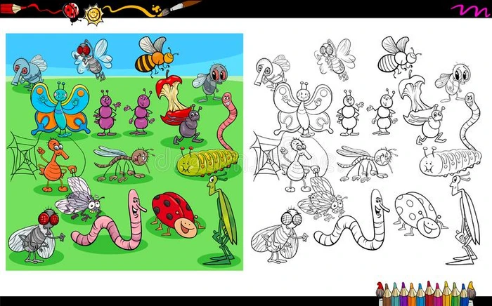昆虫动物字符色彩书