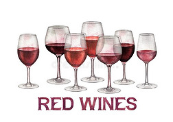 水彩行关于红色的葡萄酒眼镜隔离的向白色的背景