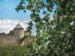 欧洲.指已提到的人照片关于老的堡垒向指已提到的人背景和花