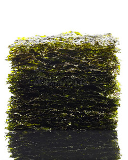 干燥的海苔海草昆布属植物纸