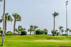 人名alii其他人DailyActiveUser日活跃用户数量高尔夫球课程,埃及