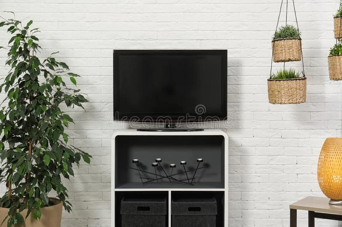 活的房间内部和血浆television电视机