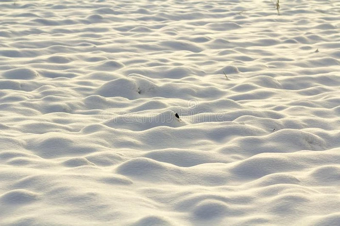 白色的表面关于清楚的明亮的不平坦的深的雪采用空的田,英语字母表的第18个字母