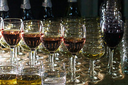许多眼镜关于不同的葡萄酒采用一行向b一r柜台
