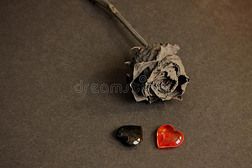 黑的照片框架和黑的玻璃心和黑的玫瑰.