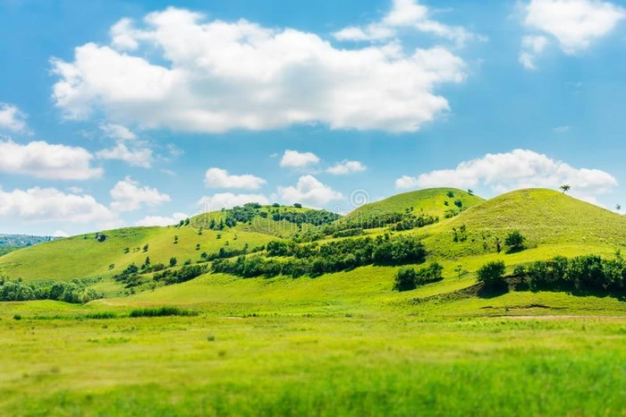 绿色的小山采用夏风景