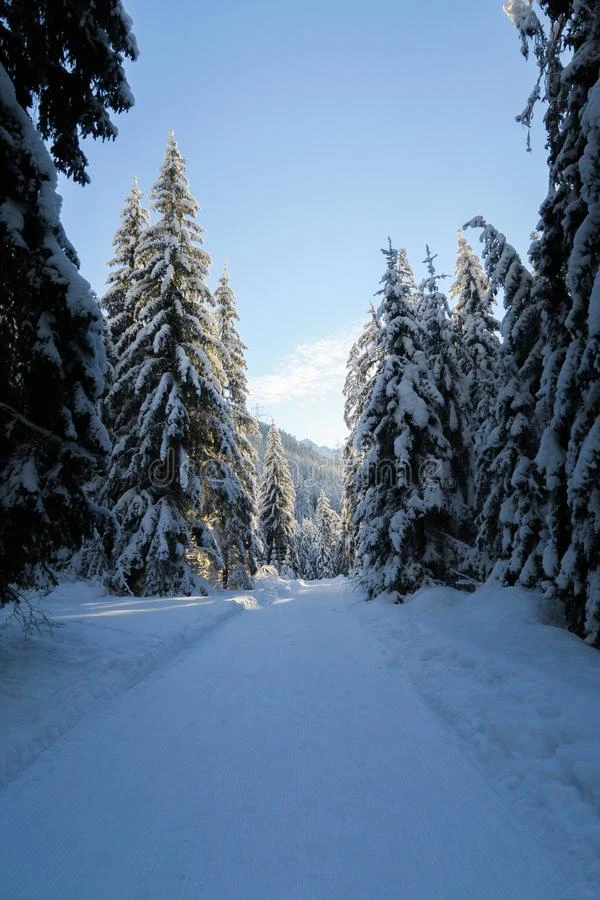 冬仙境采用瑞士