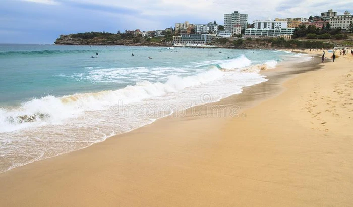 邦迪海滩采用夏采用悉尼,澳大利亚