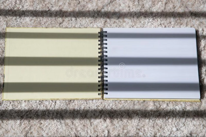 音乐的笔记书向白色的地毯背景