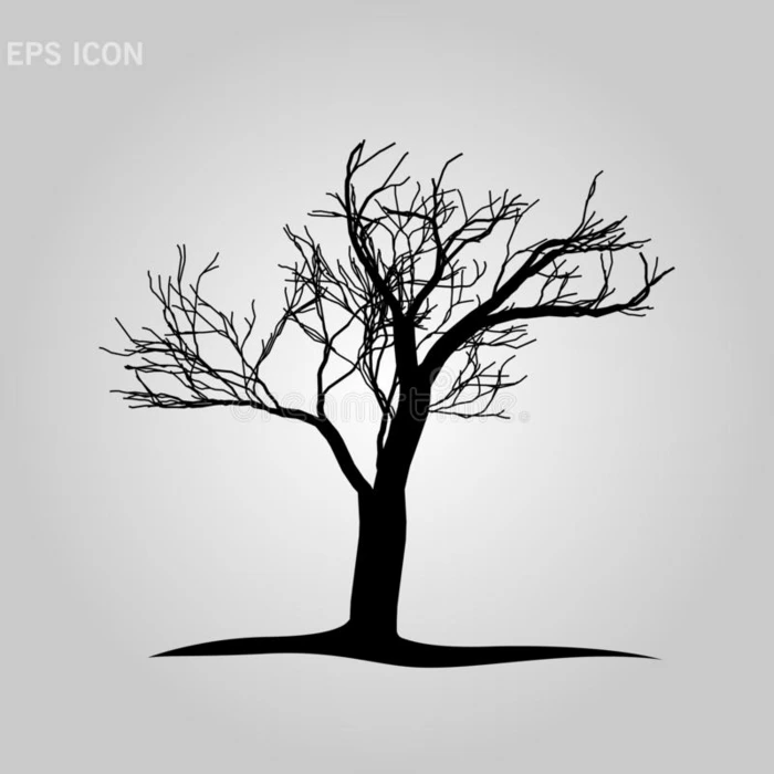 装饰的树轮廓向白色的背景.矢量illustrat