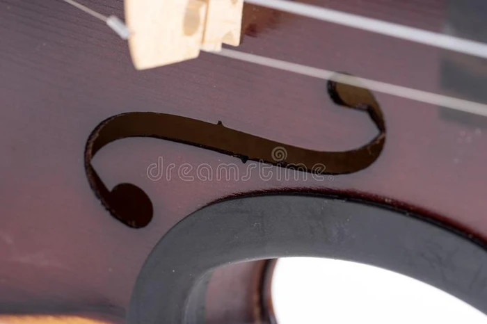 特写镜头关于古典的小提琴