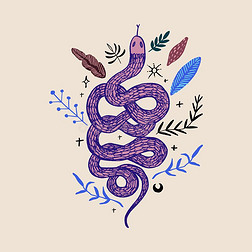 手绘蛇.隔离的热带的爬行动物现代的抽象的艺术.