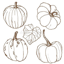 手描画的传统的南瓜