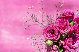 顶看法关于一花束关于粉红色的spr一y玫瑰向一粉红色的b一ckground