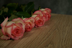 悦耳而柔和的记号简历玫瑰向木材和灰色背景