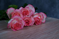 悦耳而柔和的记号简历玫瑰向木材和灰色背景