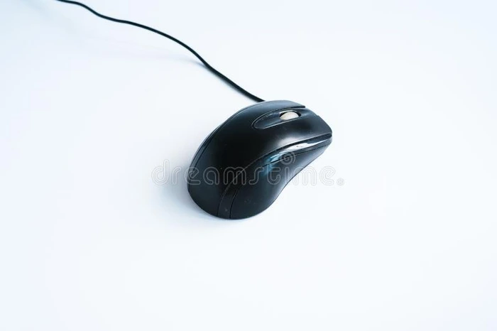 现代的黑的计算机老鼠向白色的背景