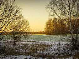 冬村民风景采用中央的俄罗斯帝国.