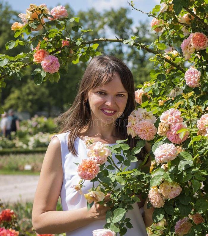 玫瑰花园和微笑的幸福的女人向和煦的照到阳光的夏一天
