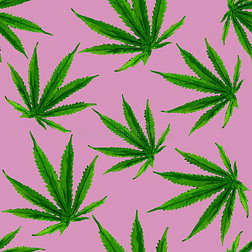 大麻水粉画无缝的模式.大麻大麻,大麻树叶