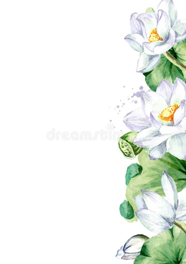 白色的莲花花和绿色的树叶边,招呼卡片临时雇员